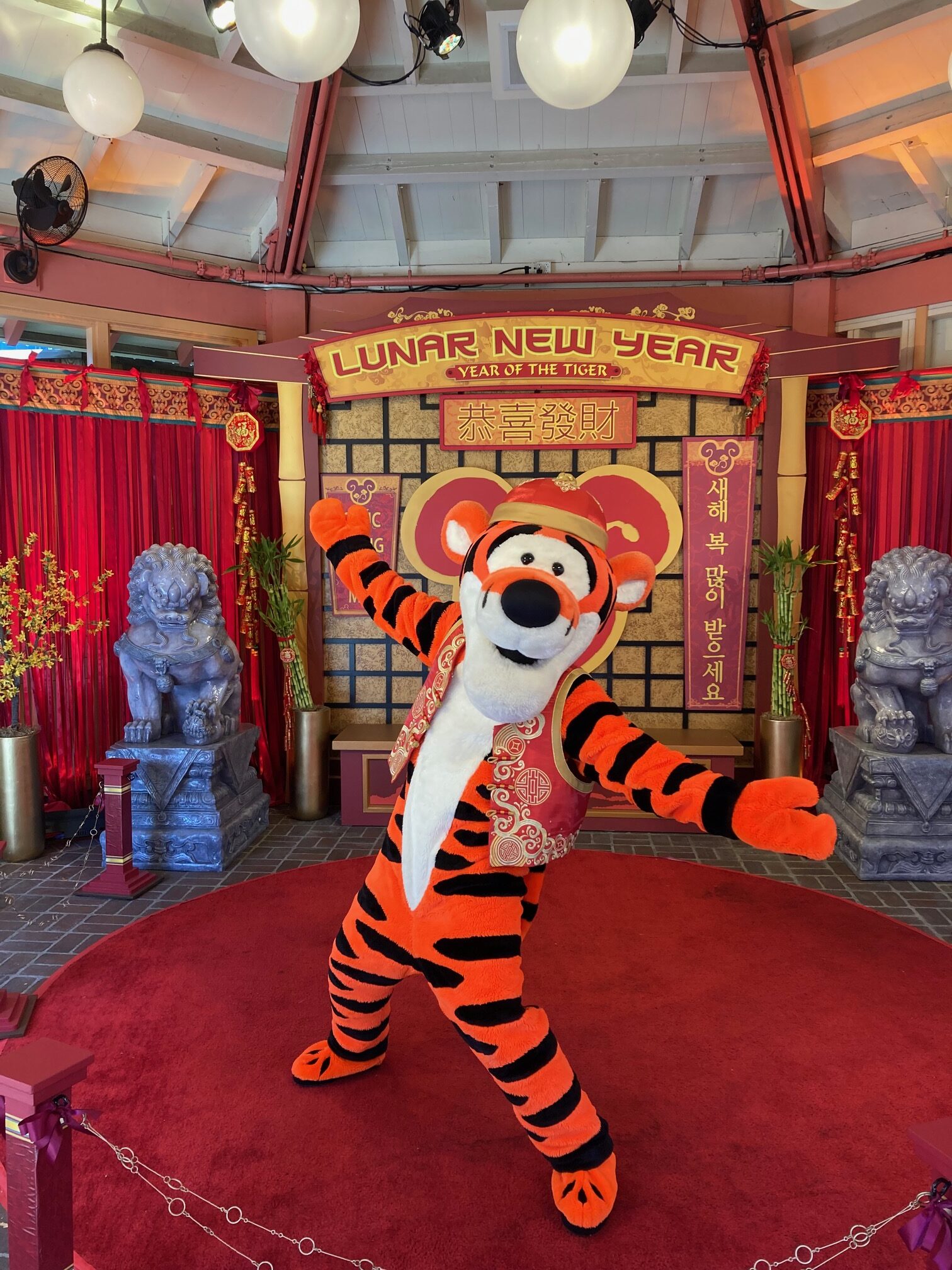 Lunar New Year Tigger Meet & Greet at Disney California Adventure Park