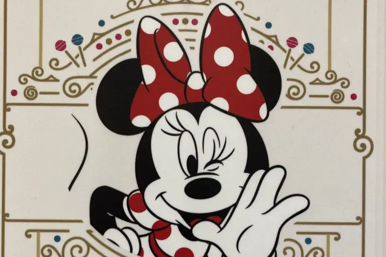 Disneyland After Dark: Disney Channel Nite Characters & Entertainment