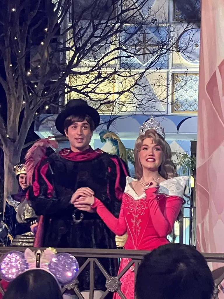 Disneyland After Dark Sweethearts' Nite Royal Ball