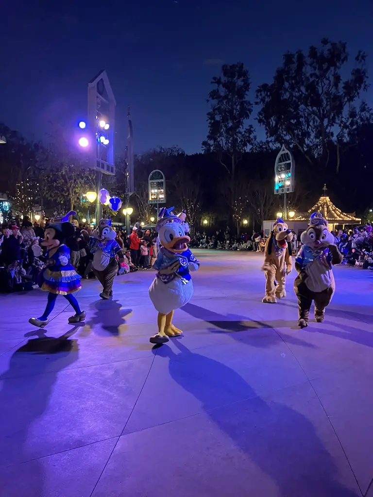 Magic Happens at Disneyland at Night - 3a