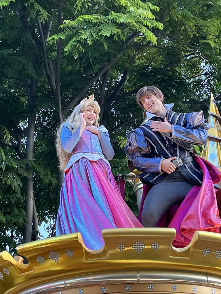 Sleeping Beauty Princess Aurora and Prince Phillip