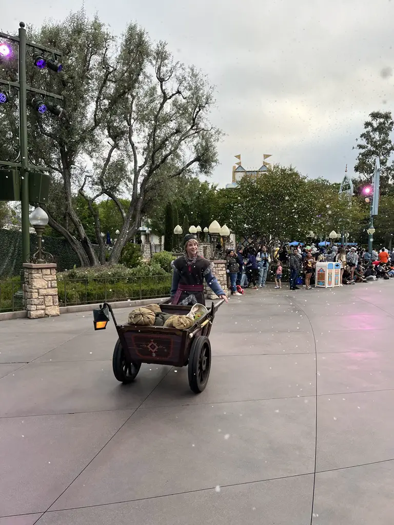 Magic Happens Photo Series at Disneyland - 14