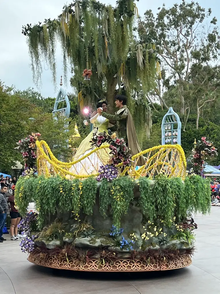 Magic Happens Photo Series at Disneyland - 17