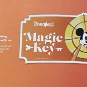 Magic Key Pass Renewal Magnet