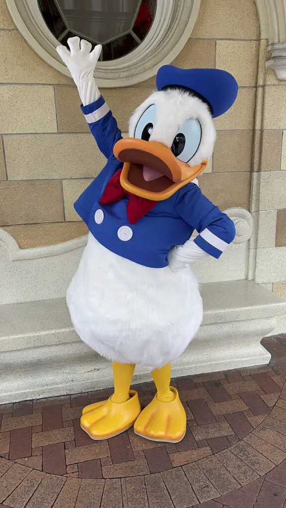 Happy Birthday Donald Duck - 1