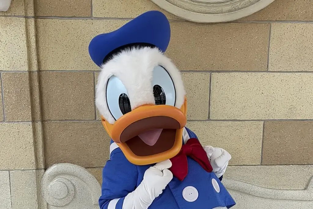 Happy Birthday Donald Duck