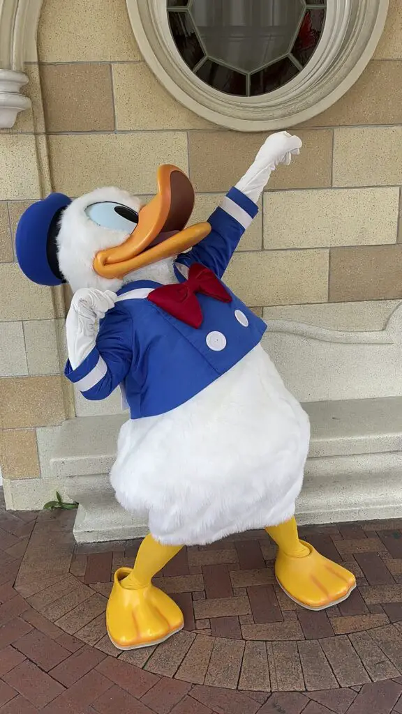 Happy Birthday Donald Duck - 2