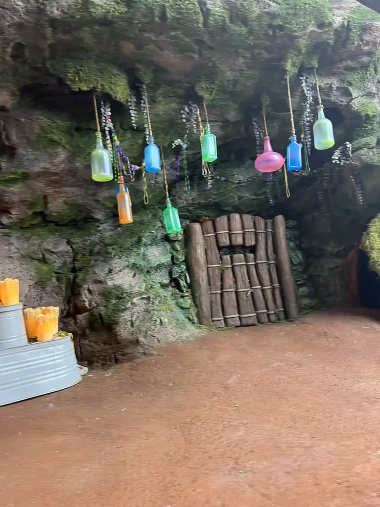 Tiana's Bayou Adventure Attraction - Mama Odie's Bottles