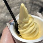 Happy DOLE Whip Day