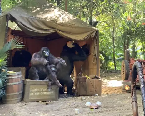 Know Before You Go The Disneyland Resort Edition - Jungle Cruise - 09.14.2024