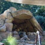 Know Before You Go The Disneyland Resort Edition - Jungle Cruise - 09.21.2024