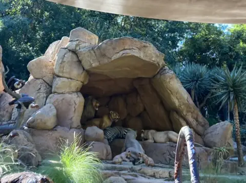 Know Before You Go The Disneyland Resort Edition - Jungle Cruise - 09.21.2024