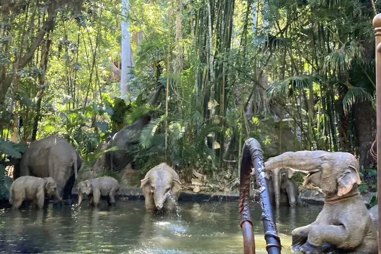 Know Before You Go The Disneyland Resort Edition - Jungle Cruise - 09.28.2024