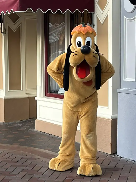 Pluto at Disney Theme Parks