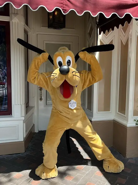 Pluto at Disneyland