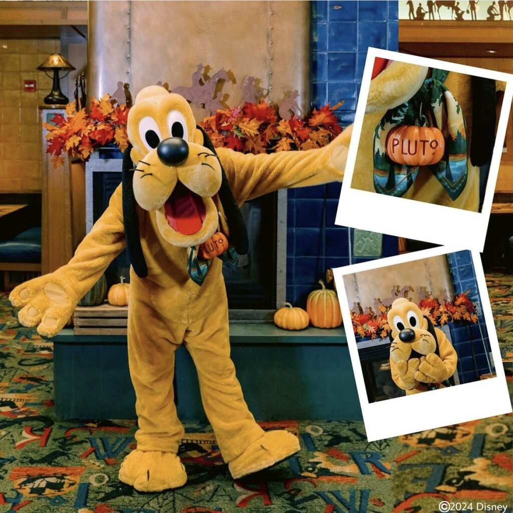 Pluto at Mickey's Autumn Adventures at Storytellers Cafe