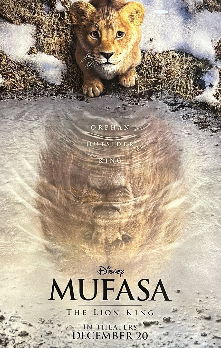 Disney The Lion King Mufasa Live Action Movie Poster