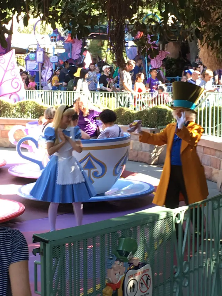 Mad Tea Party with Alice & Mad Hatter