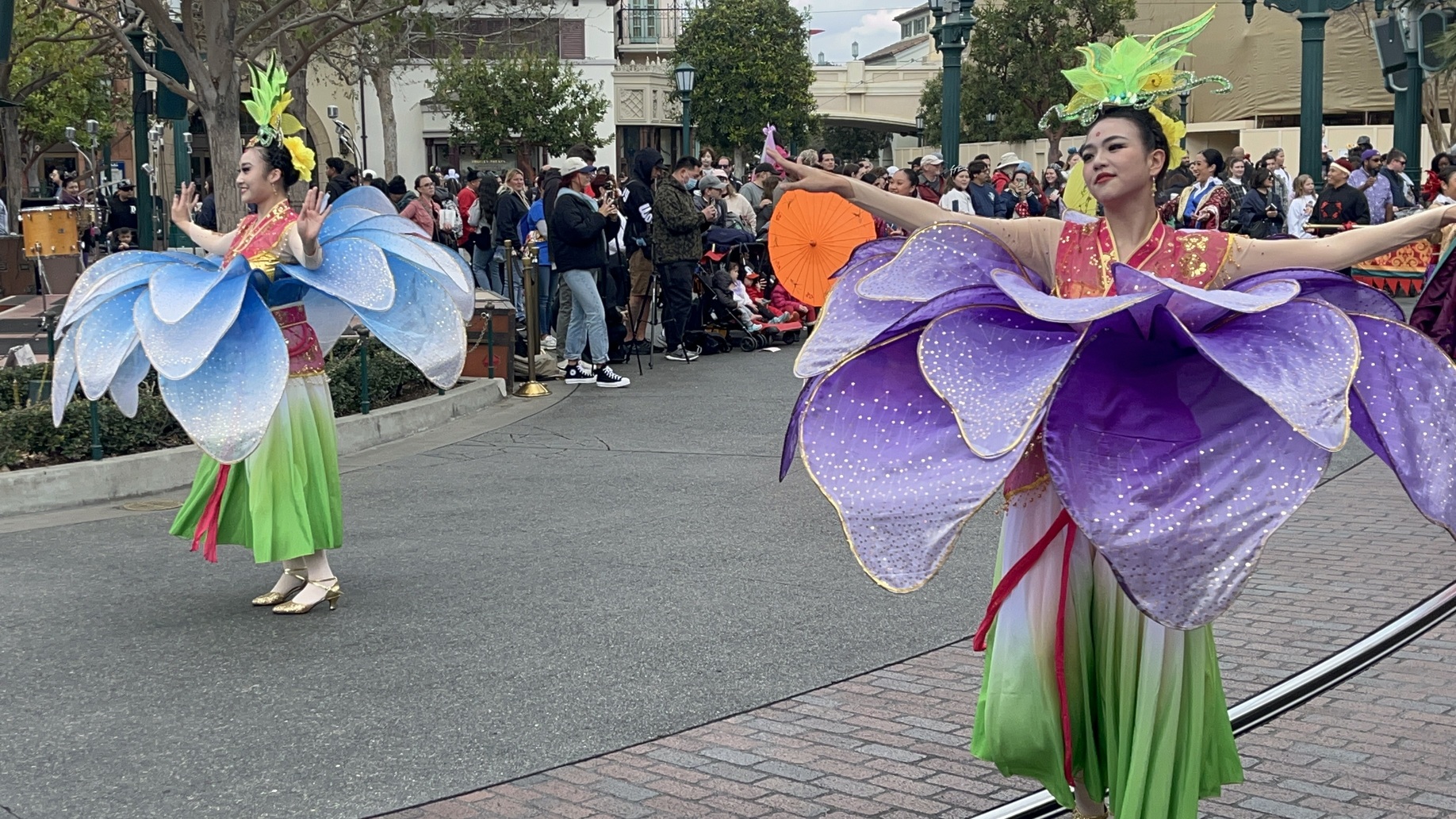 Mulan's Lunar New Year Procession - 12