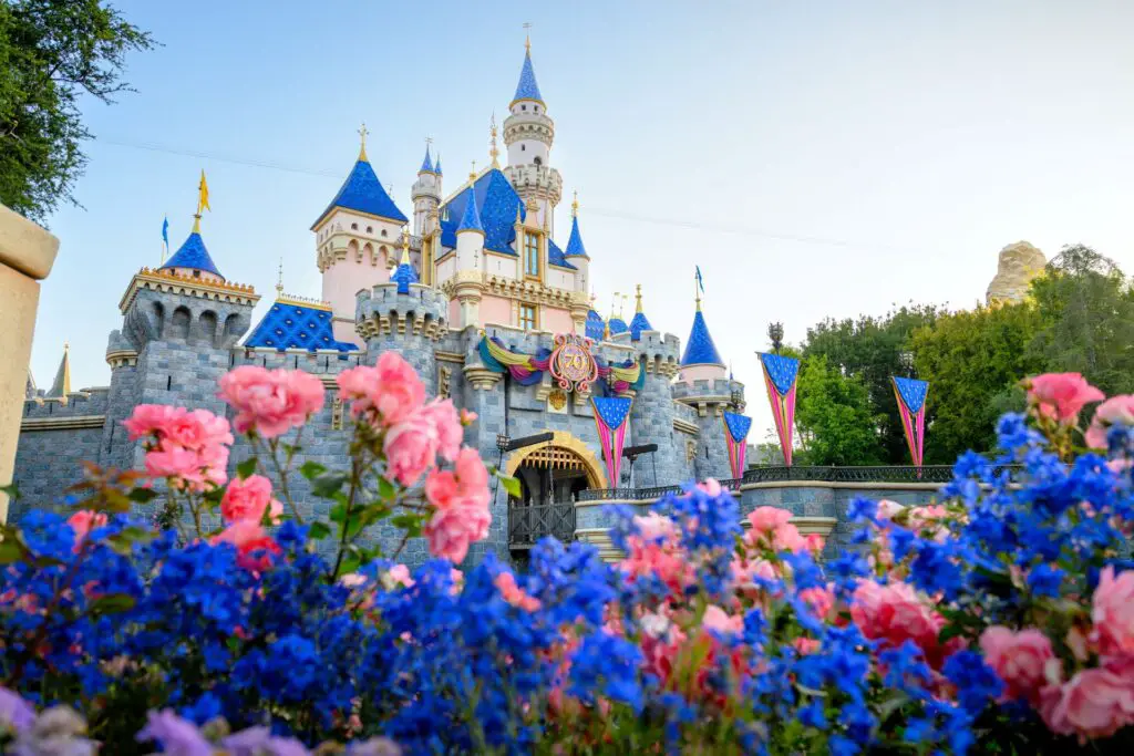 Disneyland 70th Anniversary Celebration - 4