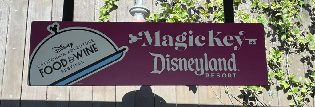 Select Disneyland Magic Key Annual Passes Back on Sale May 20th
