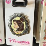 Beauty and the Beast Open Edition Pins