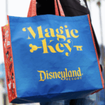Disneyland 70 Magic Key Bag - Back