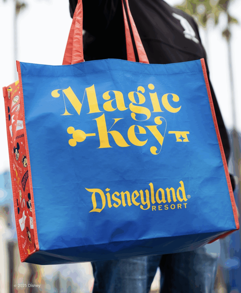 Disneyland 70 Magic Key Bag - Back