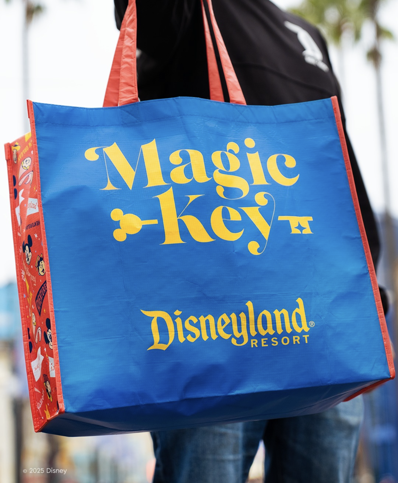 Disneyland 70 Magic Key Bag - Back