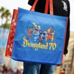 Disneyland 70 Magic Key Bag Featured