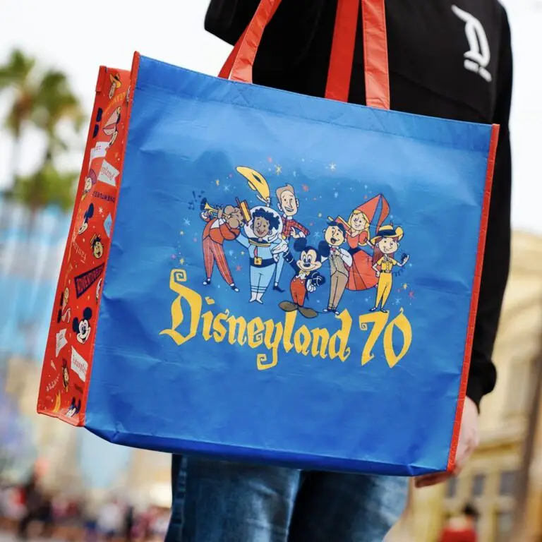 Disneyland 70 Magic Key Bag Featured