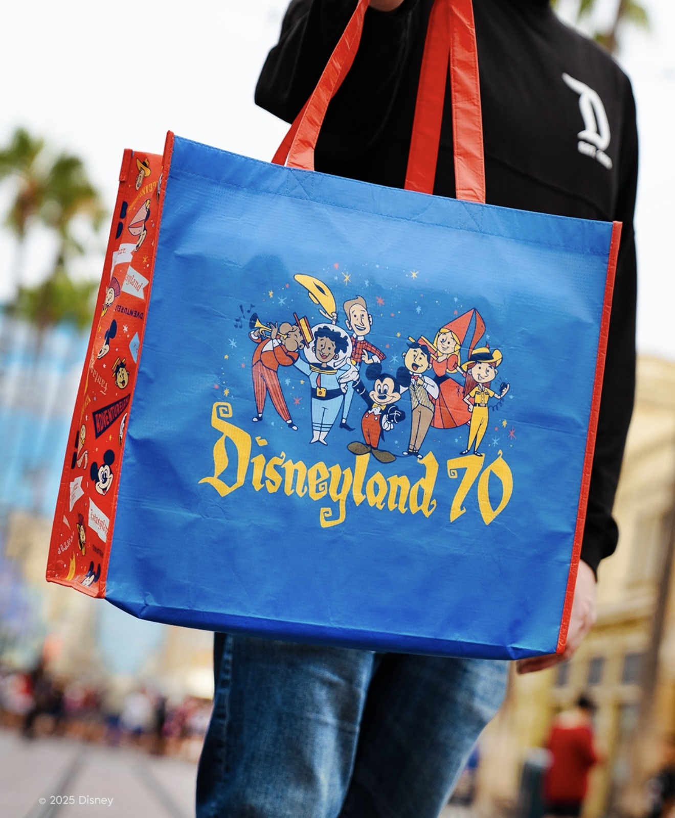 Disneyland 70 Magic Key Bag