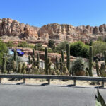 Radiator Springs Racers
