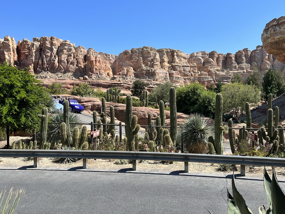Radiator Springs Racers