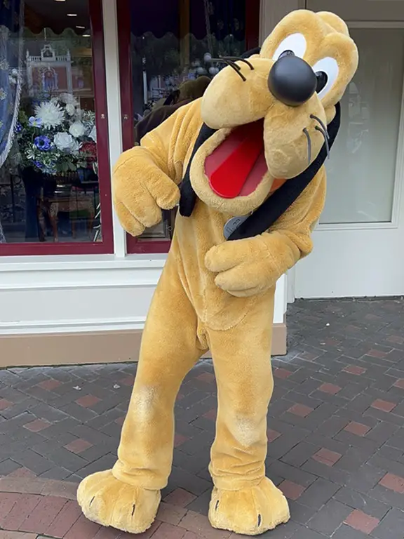 Celebrating 95th Birthday of Mickey's Best Pal Pluto