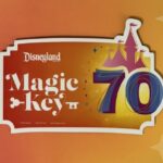 Disneyland Magic Key Magnet 2025