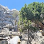 Grizzly River Rapids