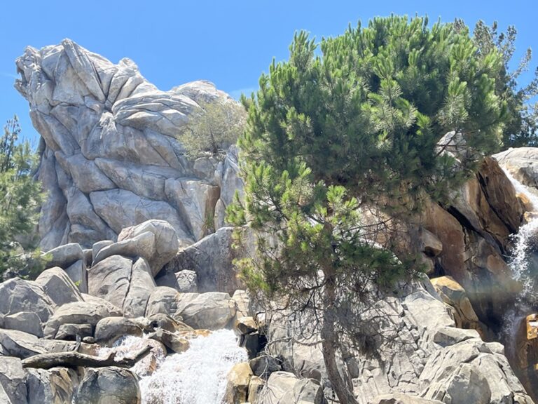 Grizzly River Rapids