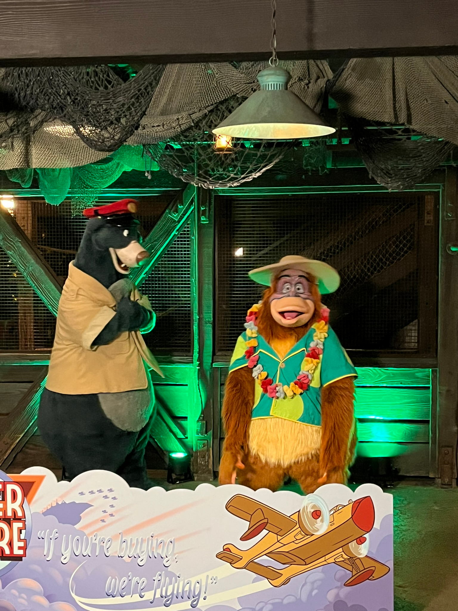 The Disney Afternoon Friends