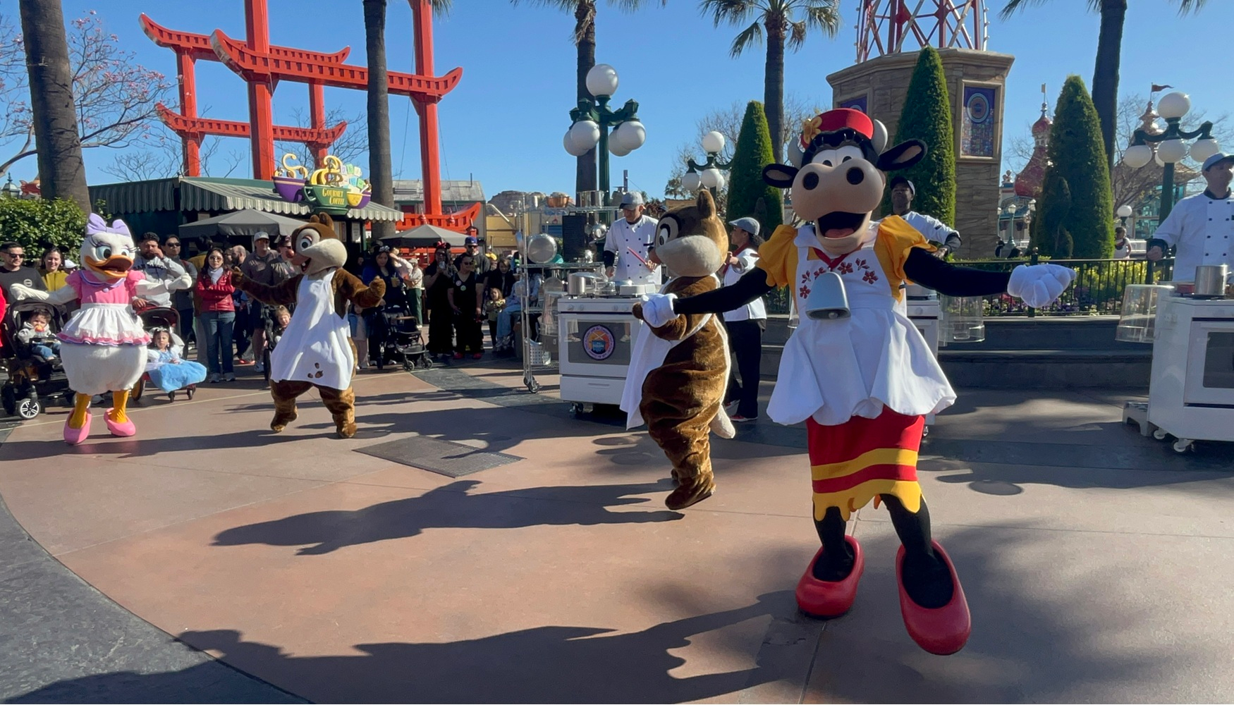 Cookin' with the Jammin' Chefs