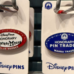 Disney Parks Honorary Cast Member Nametag Inspired Pins