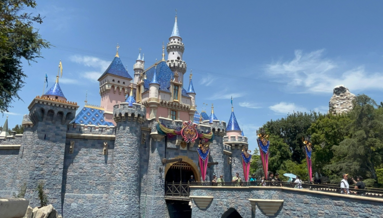 A Disneyland License Plate may soon be available to California Drivers