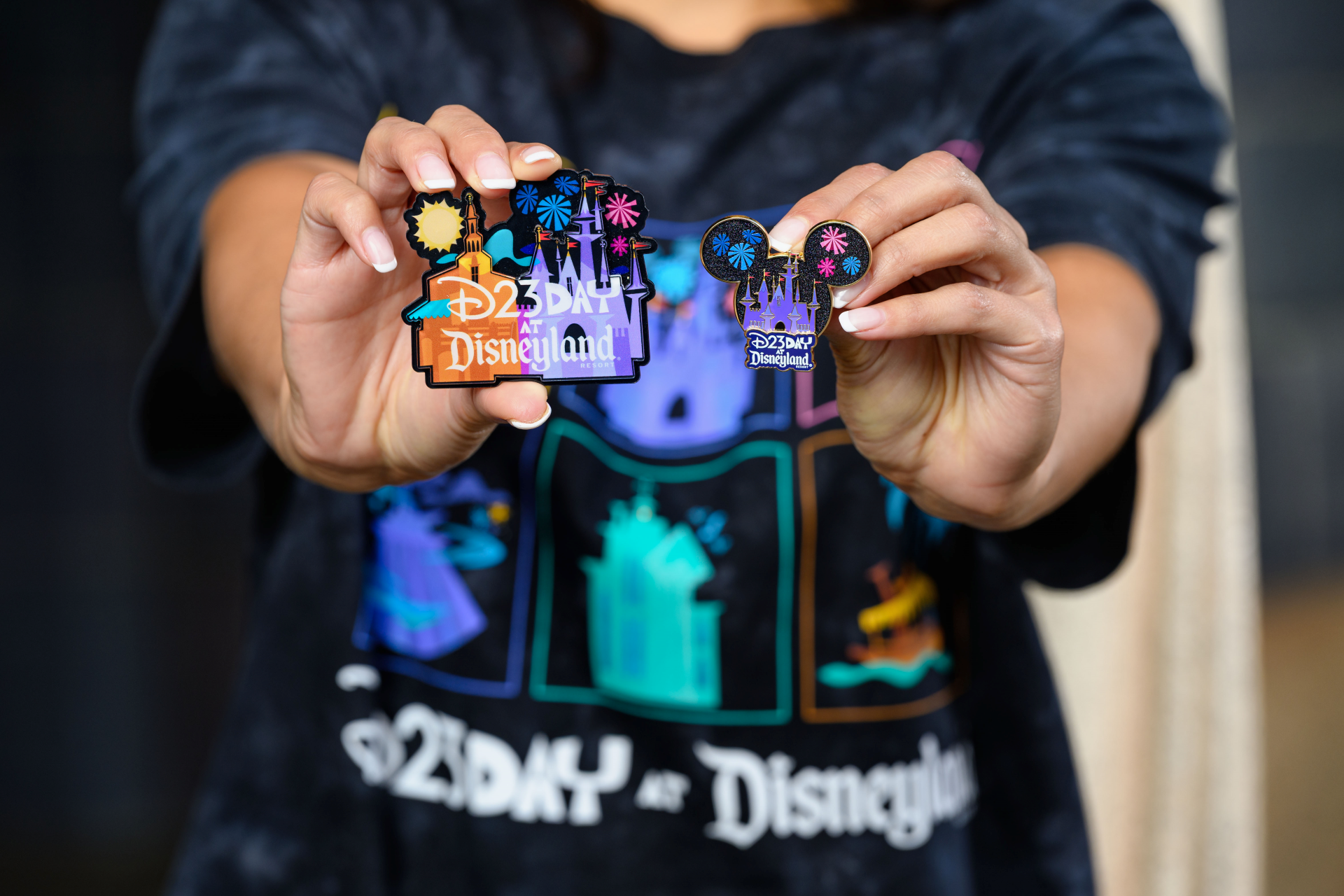D23 Day Logo Collection
