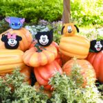 Pluto's Pumpkin Pursuit