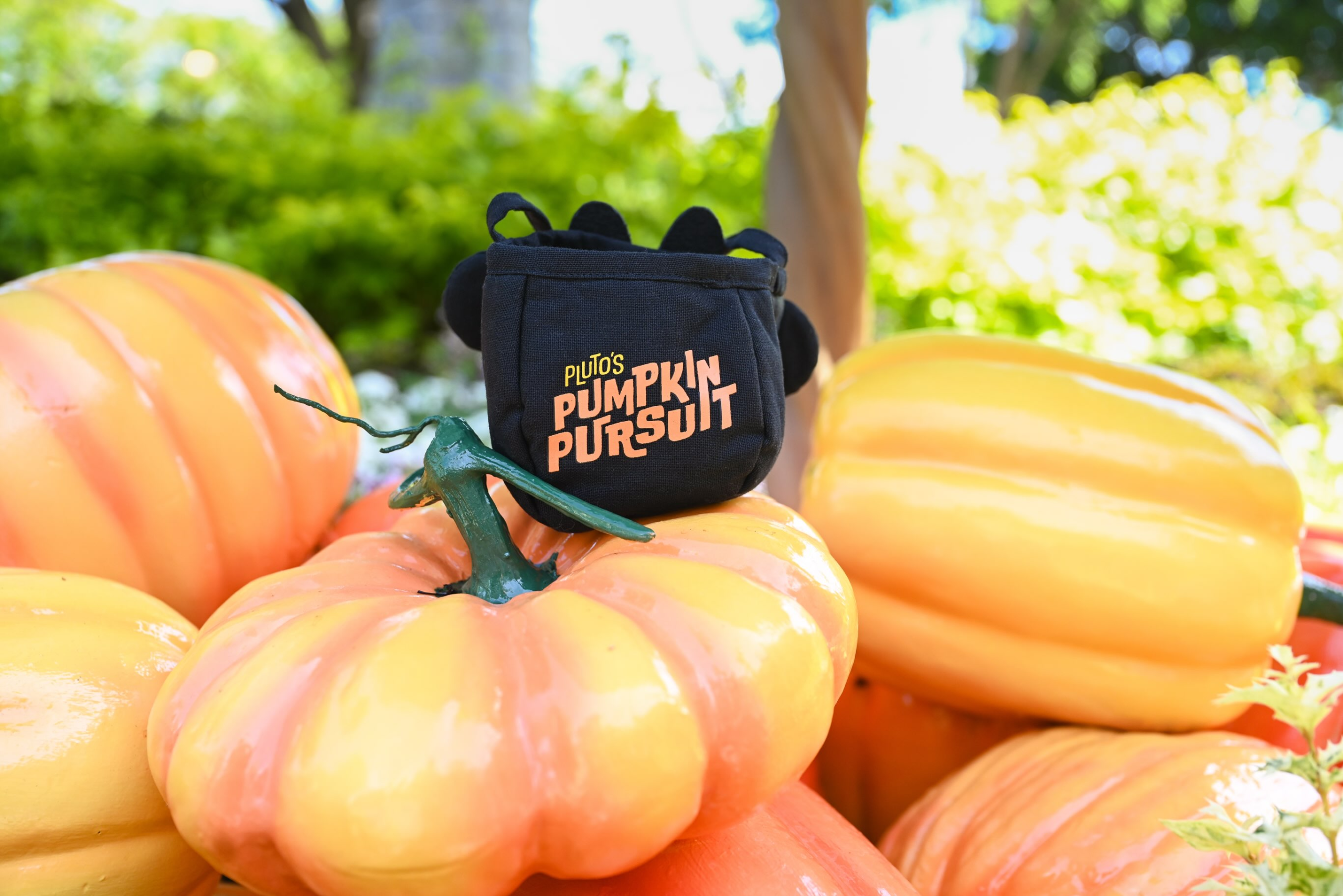 Pluto's Pumpkin Pursuit Keepsake Back