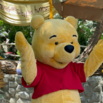 Winnie the Pooh